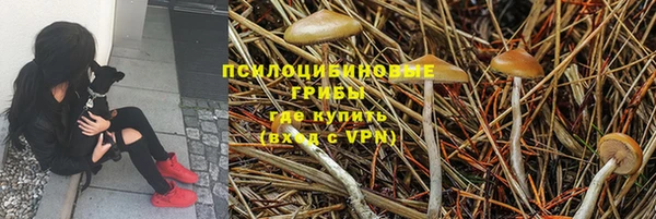 марки nbome Алексеевка