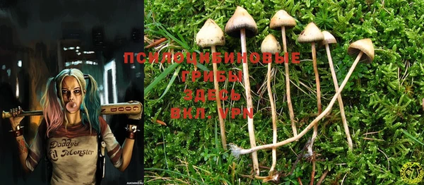 марки nbome Алексеевка