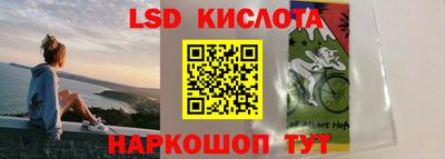 прущие крисы Донской