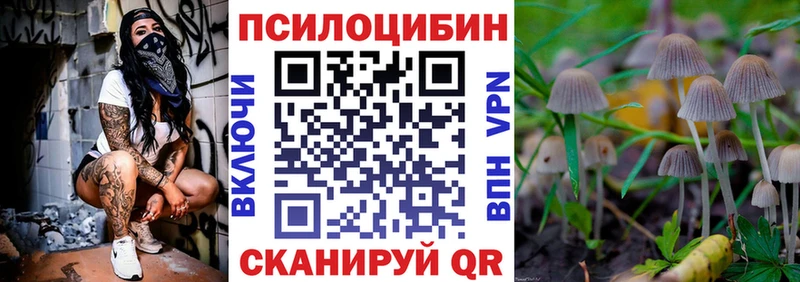 Галлюциногенные грибы Cubensis  Ленинск-Кузнецкий 