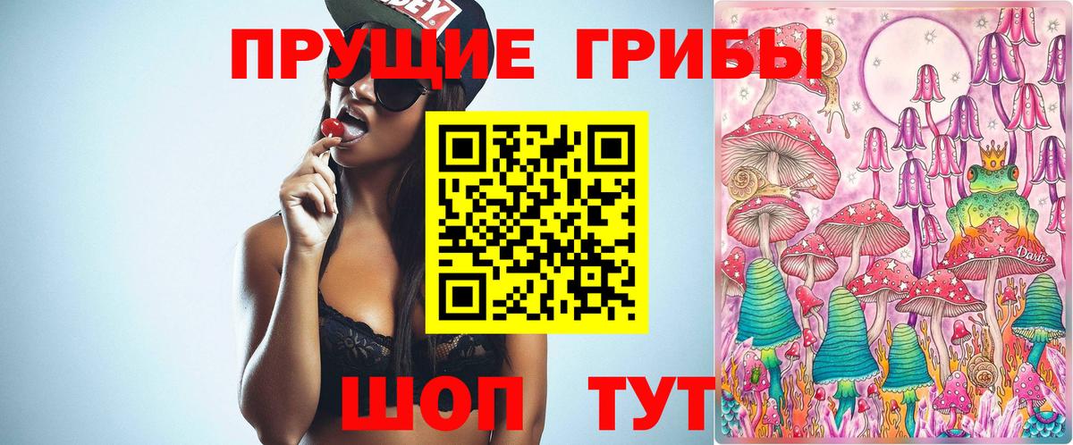 Галлюциногенные грибы GOLDEN TEACHER Ленинск-Кузнецкий